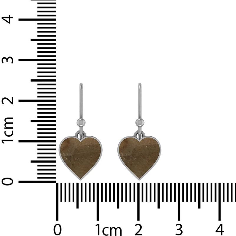 petoskey cab earrings