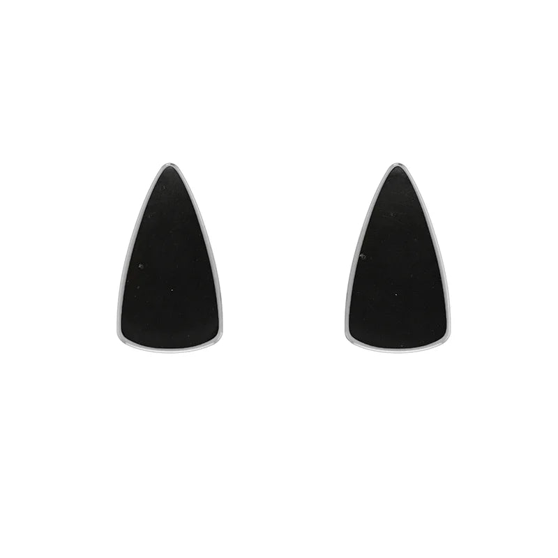 shungite cab earrings