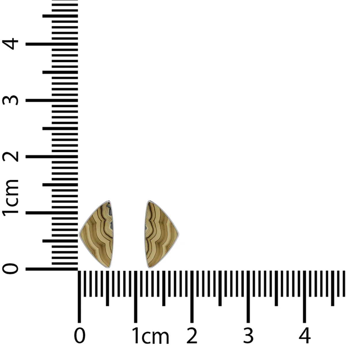 schalenblende earrings