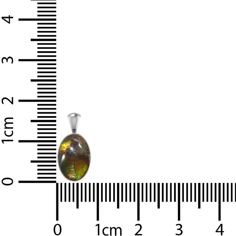 ammolite pendant