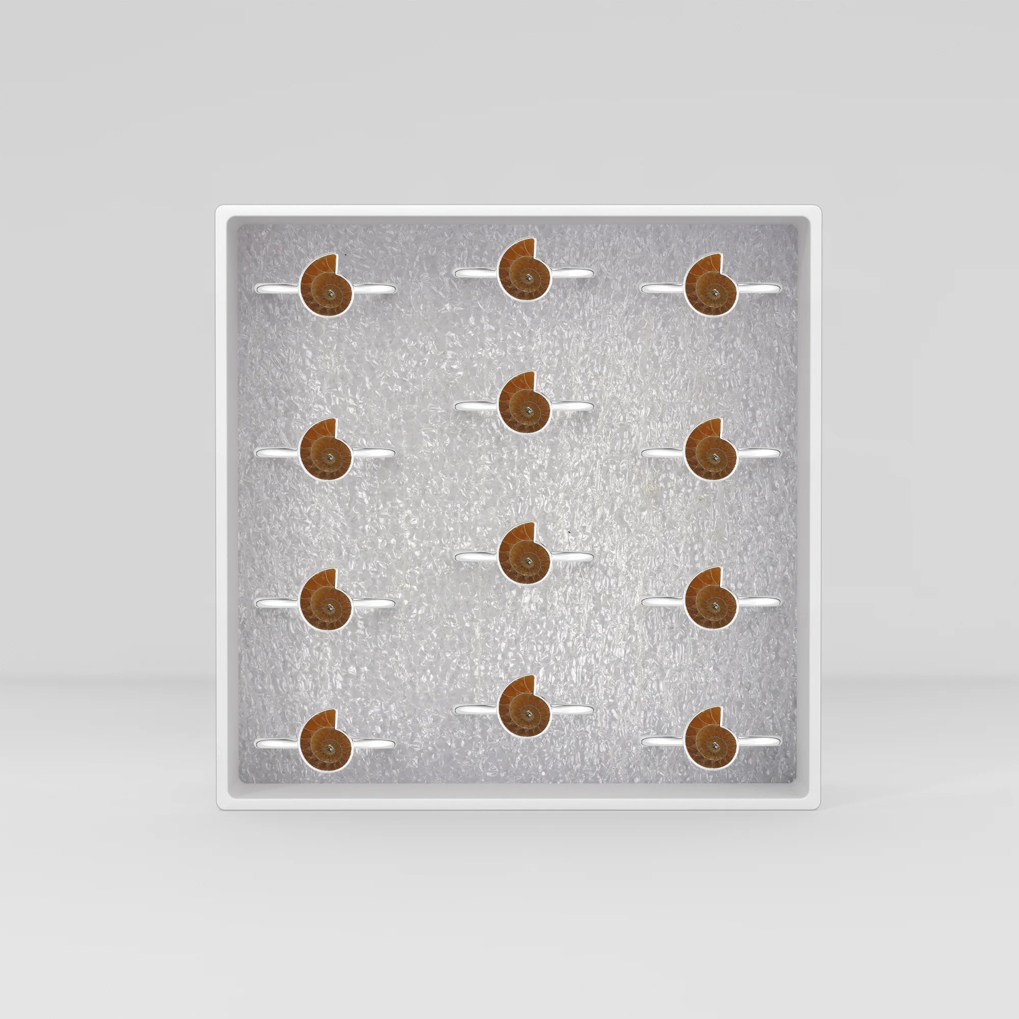 ammonite bezel-set ring