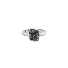 Meteorite Ring_R-BOX-15_2