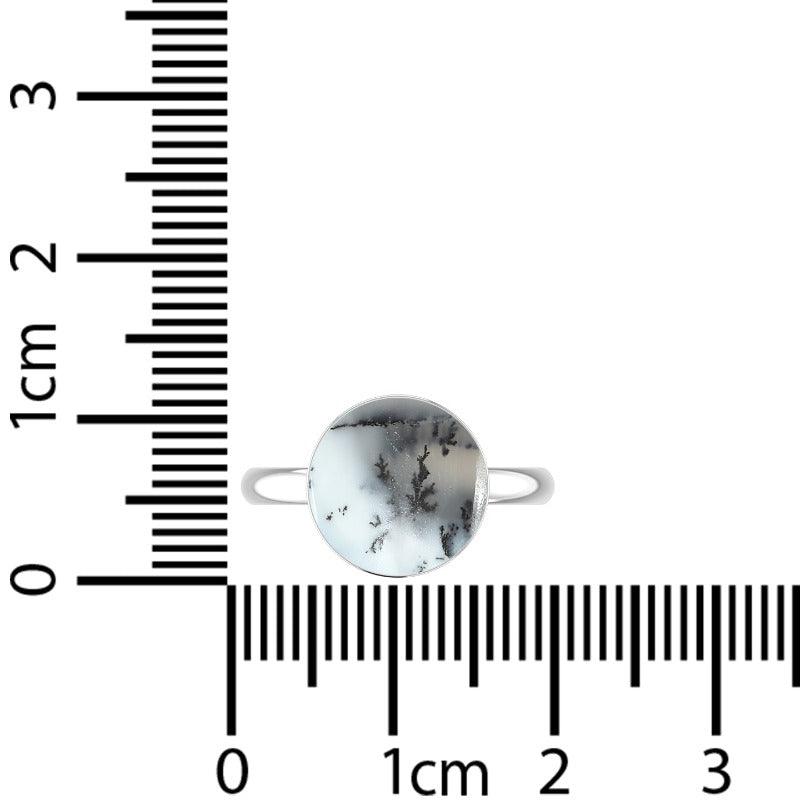 Dendrite Opal Ring_R-BOX-2_25